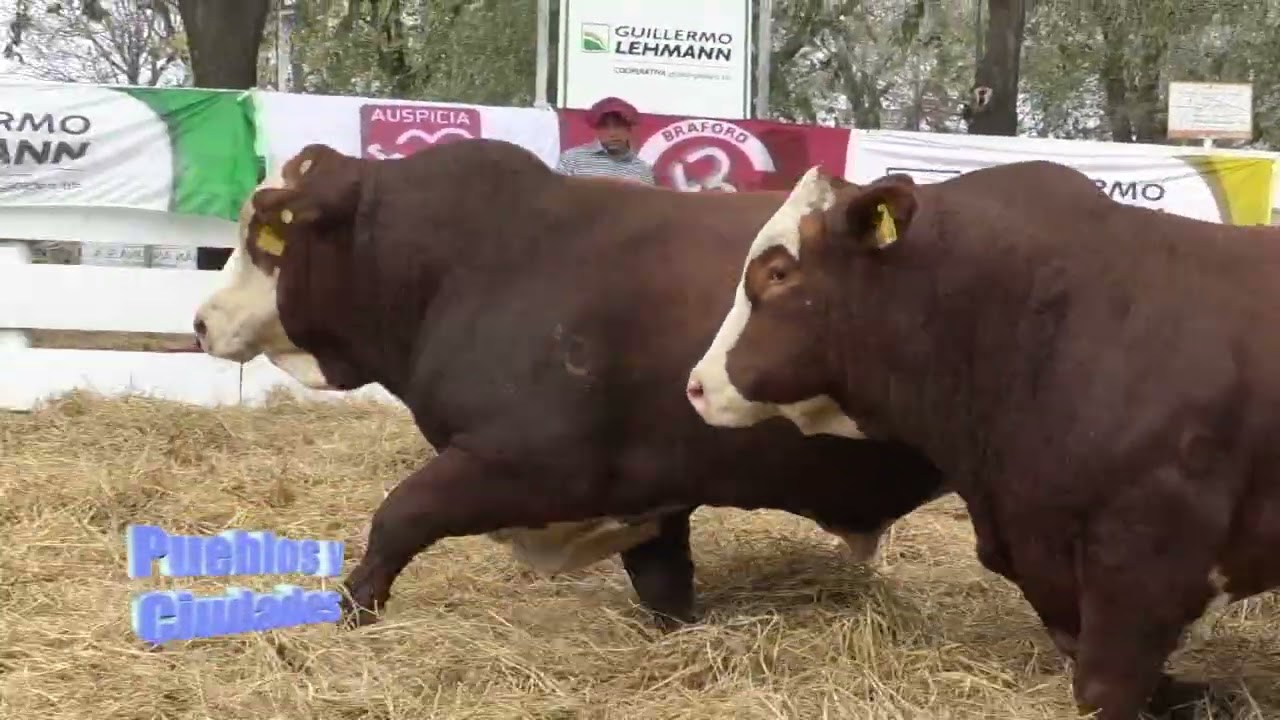 Bloque 3 - 22 de junio