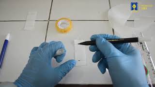 P1 Pemisahan Tinta dengan menggunakan Kromatografi Kertas