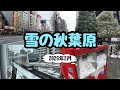 【秋葉原散策】雪の秋葉原【積雪】