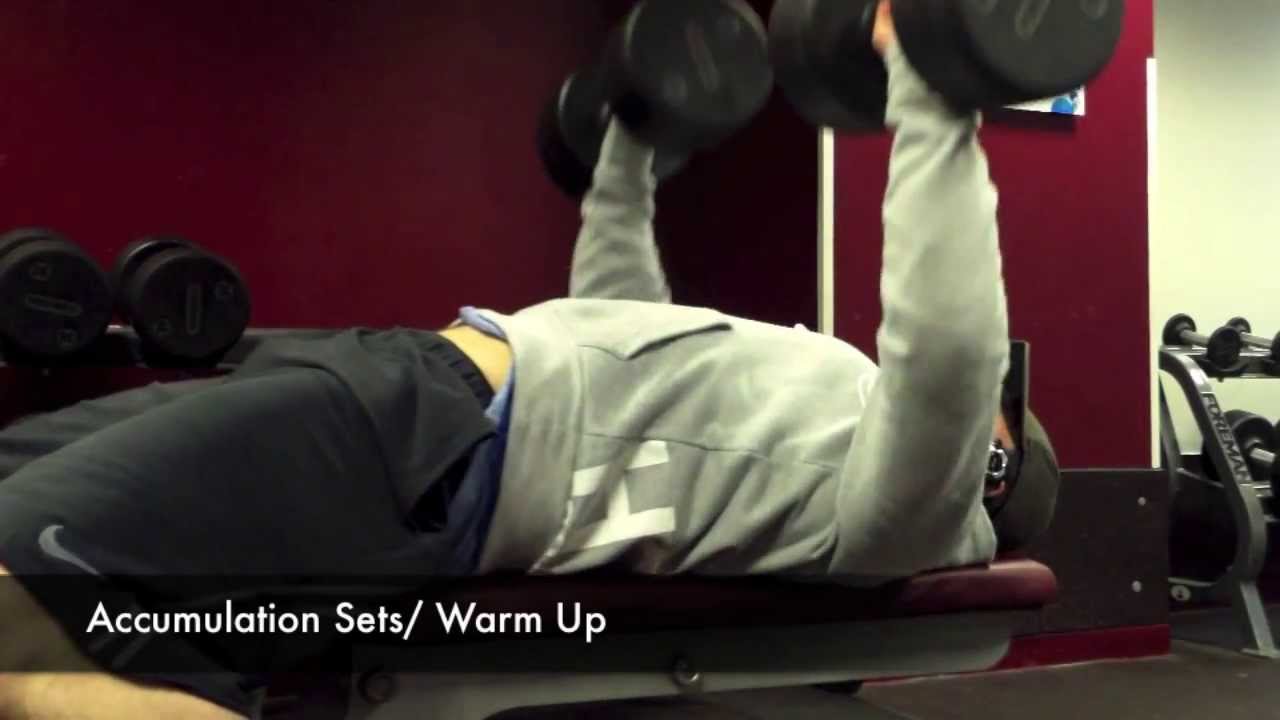 Focus (Upper Light Session) | The Fitness Hub