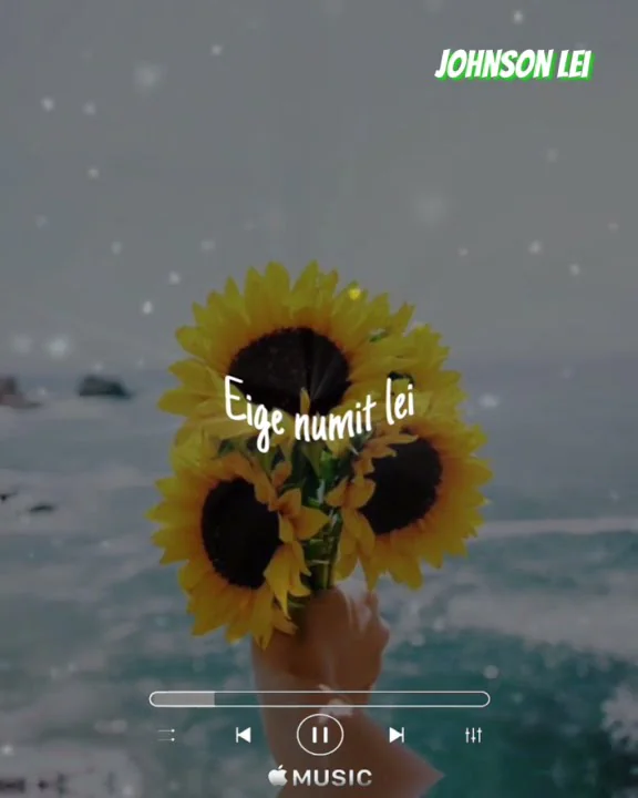 Numit lei WhatsApp status