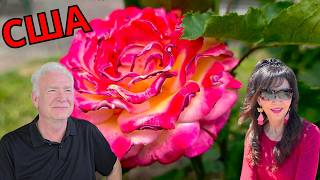 Скрытая жемчужина Орегона 🌹Прогулка по розовому саду с Терри | Жизнь в США