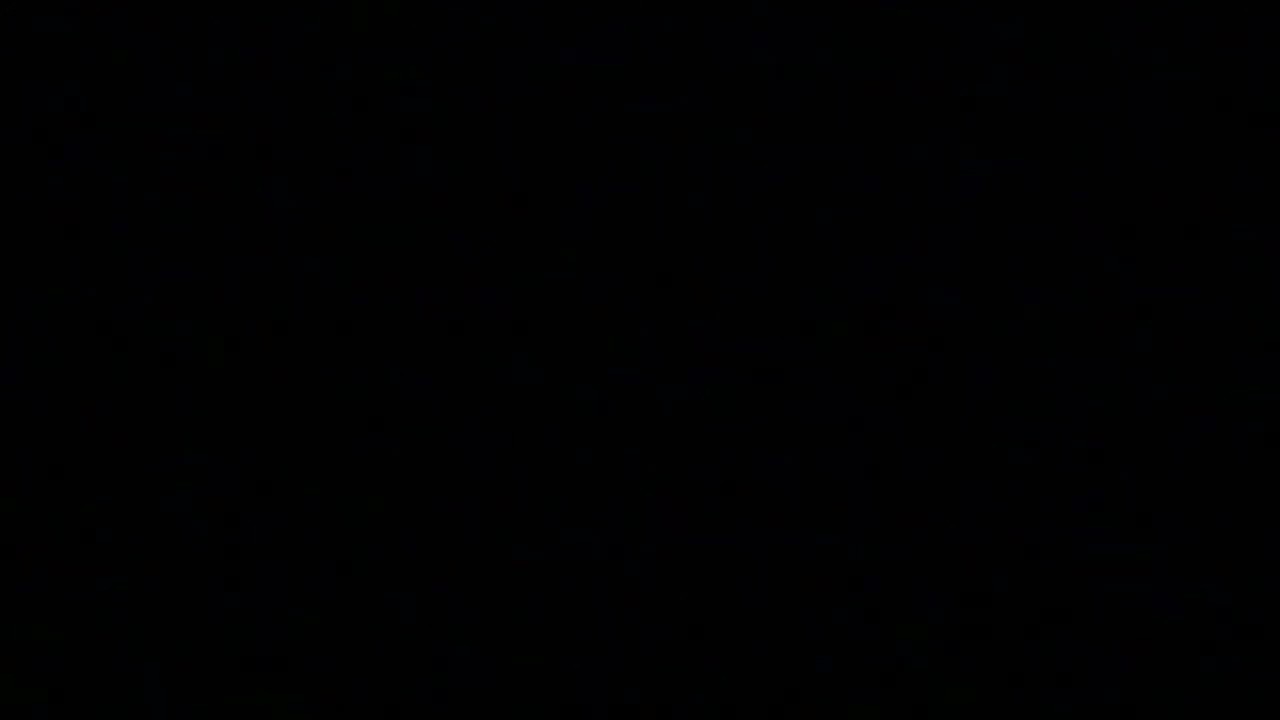 Émile Bellefleur 🎶✨ nitesh