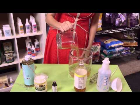 Video: Homemade Dog Shampoo: 4 Recipes Without Harmful Ingredients