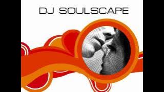 DJ Soulscape - Where Are You