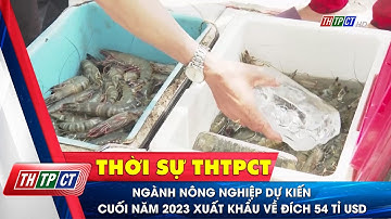 Ngành nông nghiệp dự kiến cuối năm 2023 xuất khẩu về đích 54 tỉ USD| Cần Thơ TV