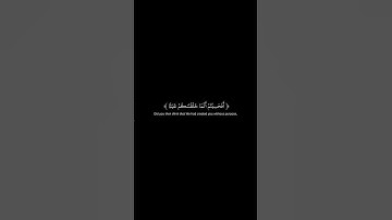 سورة المؤمنون 116-115 Surah Al-Mu'minun @QuranCadence #qurancadence