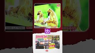 Electronics పై భారీ డిస్కౌంట్ Sale / Smart Android TV  బేరం ఆడొచ్చు Branded Smart TV LED TV