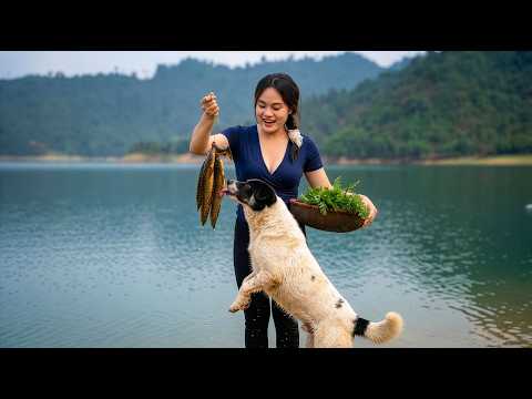 Catching Loach with a Bamboo Tube – Traditional Fishing Skills