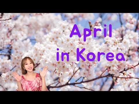 Ultimate Guide to "Korea in April" (weather, travel tips, what to do)