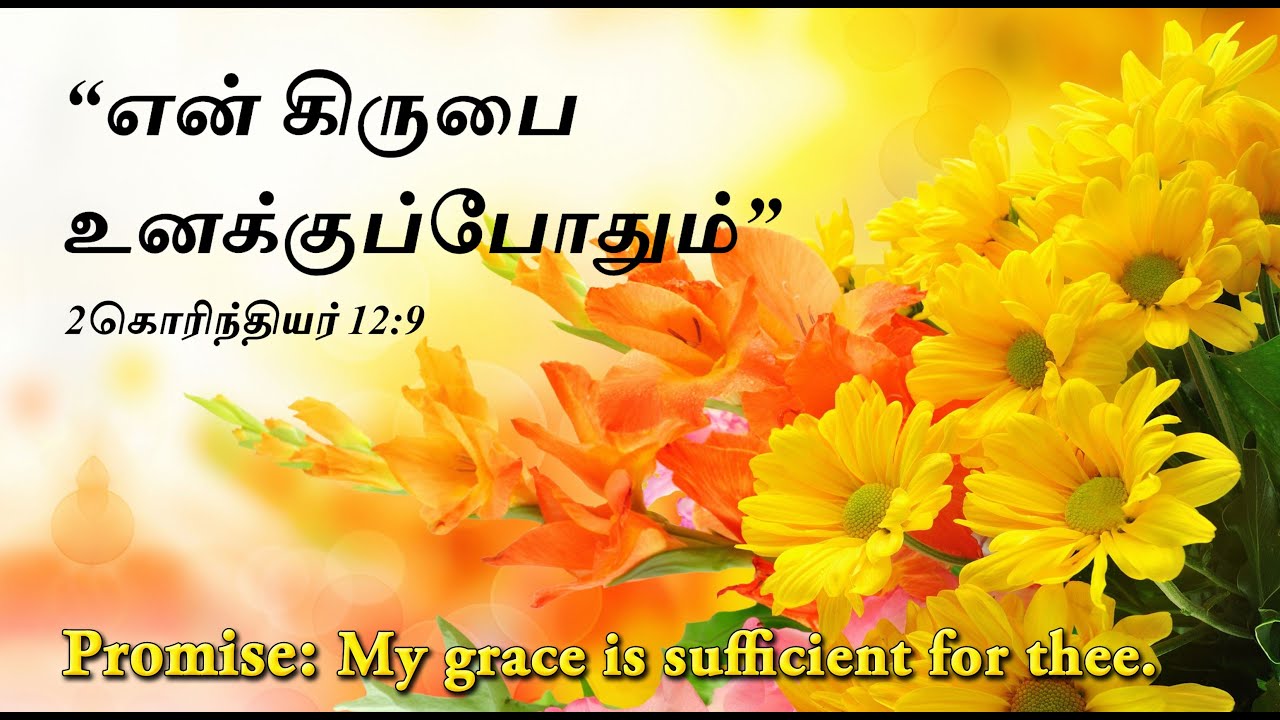 என் கிருபை உனக்குப்போதும் | My grace is sufficient for thee | Promise