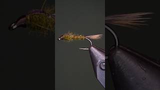 Top Stillwater Fly Patterns: Flashback Hares Ear Nymph #flyfishing #troutfly  #nymph