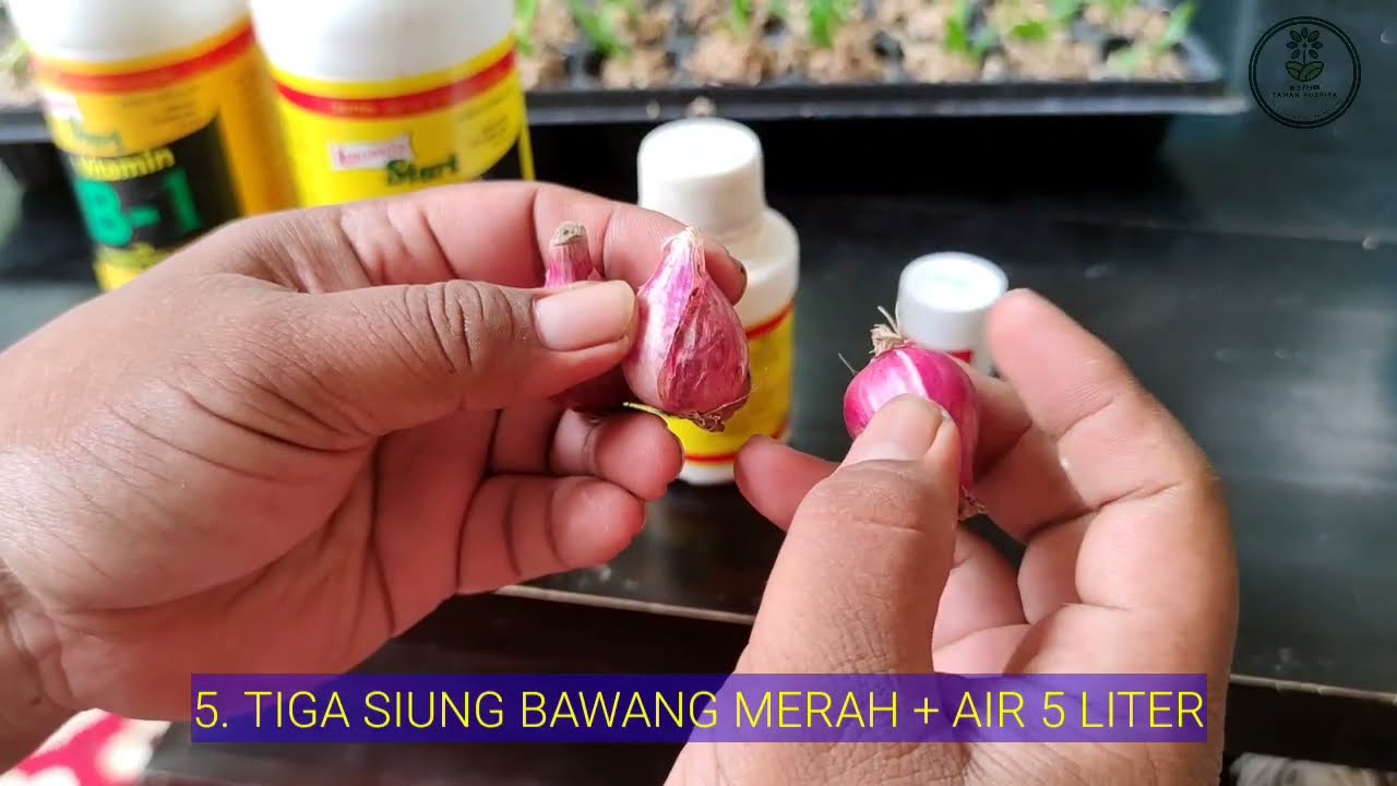 7 CARA MENGETAHUI KEASLIAN B1 + ALTERNATIFNYA versi taman puspita.