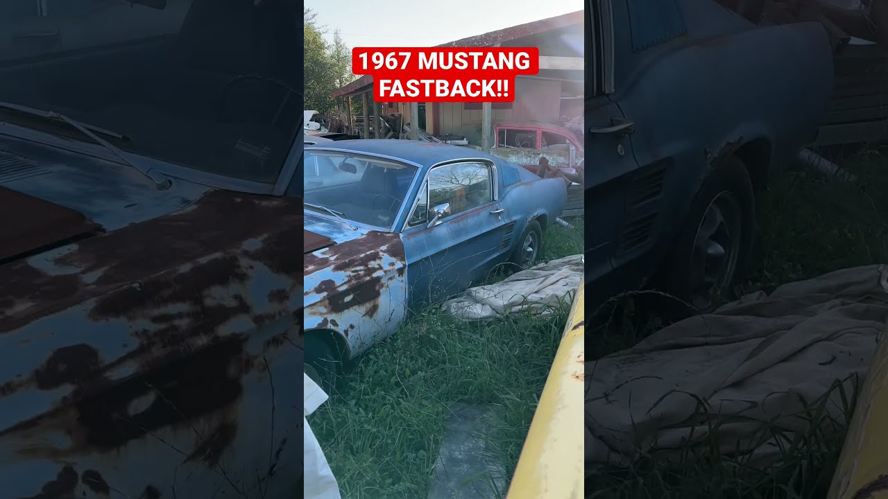 1967 Ford Mustang Fastback Ready For Restoration 