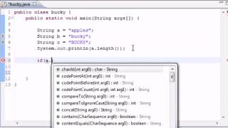 87   Java Programming Tutorial   87   Series Finale Net Worth