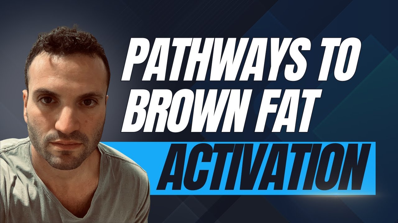 Your Different Pathways to Brown Fat Activation - YouTube