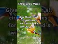 Chirps and a Verse 7