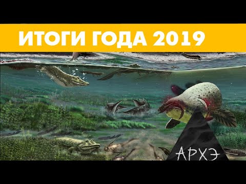 Видео: Андрей Журавлёв: "Итоги 2019 года в палеонтологии"