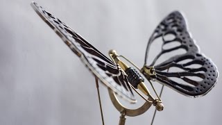 Burnt Mechanical Butterfly