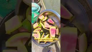 did you know that you can use watermelon peel as fertilizer#plants #fertilizer #garden