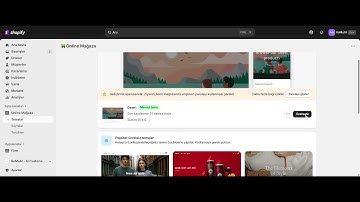 RoMuAI Customer Service Shopify Setup Tutorial | AI Chatbot for Online Stores