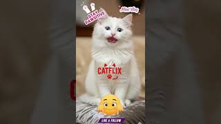 Why Is It  Monday Again? #cat #catflix #catvideos #catcomedy #funnyanimals #catshorts #catvideos #ai