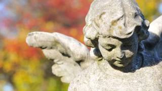 Final Farewells Funeral Pre-Scheduling Solutions - Make On the web Funeral Preparations Prior to