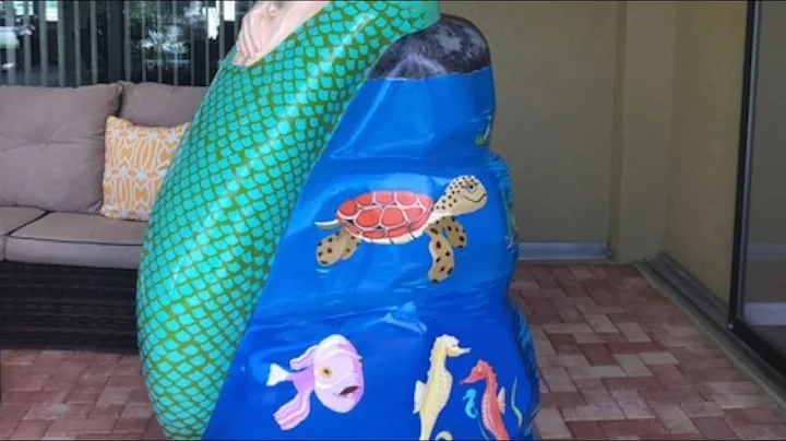 Meet the Artist, Deborah Newman: The Mermaid Tale ...