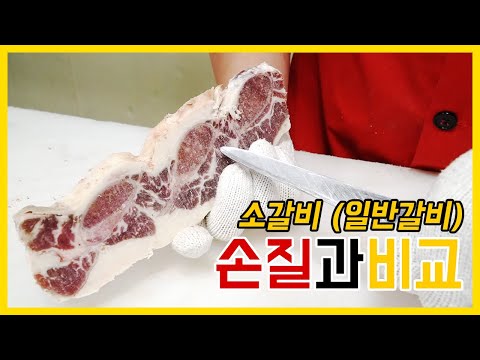 소고기 일반 갈비 손질하기 #LA갈비 #우대갈비 초이스 등급과 셀렉트 등급 비교까지