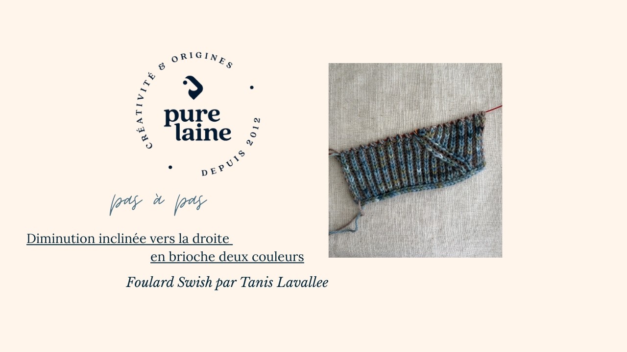 Diminution inclinée vers la droite en brioche deux couleurs 