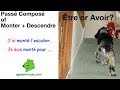 Learn French Conjugation I Passé Composé I Descendre (go ...