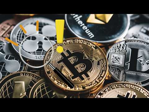 알트코인이 주는 힌트