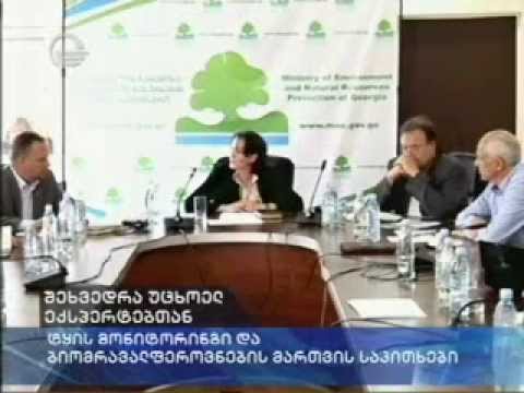 MOE: ტყის მონიტორინგის საკითხებზე მსჯელობა გაიმართა