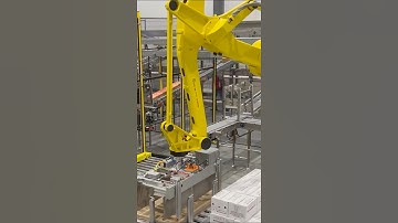 Robotic sorting and palletizing in low-temperature environments #shorts #automation #robotics #fanuc