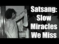 The Miracles We Miss Daily In Life | Satsang