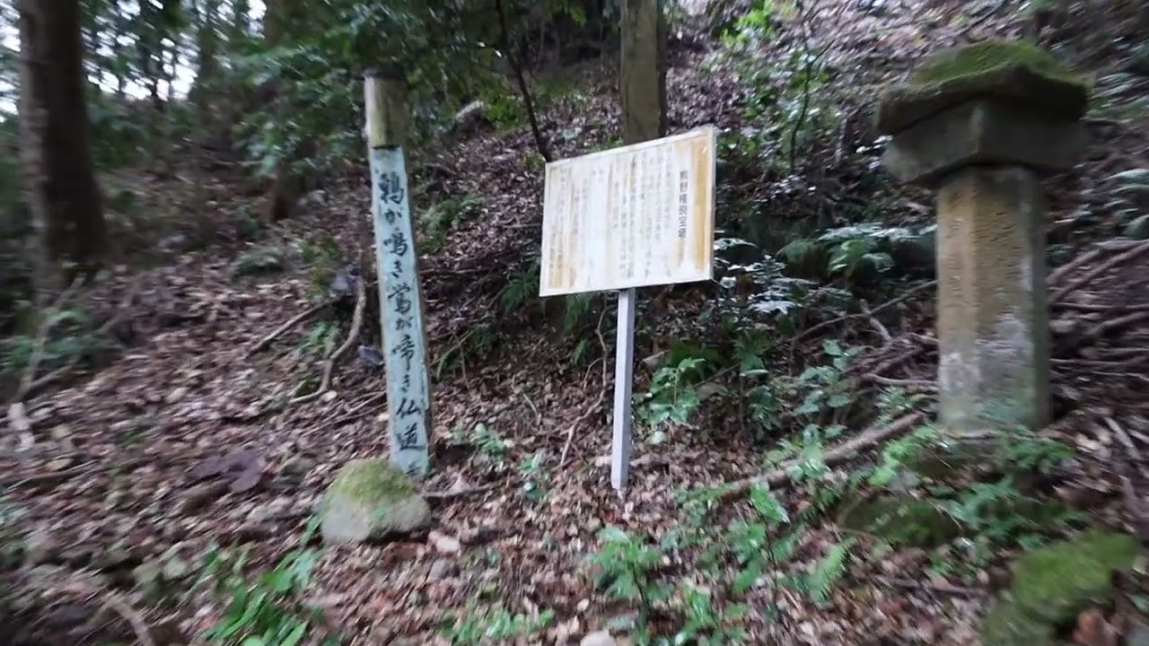 大分県中津市　長谷寺奥之院参道