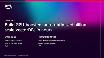 AWS re:Invent 2025 - Build gpu-boosted, auto-optimized, billion-scale VectorDBs in hours (ANT213)
