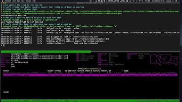Istio 1.6 Deep Dive Certificate Rotation - Part 1