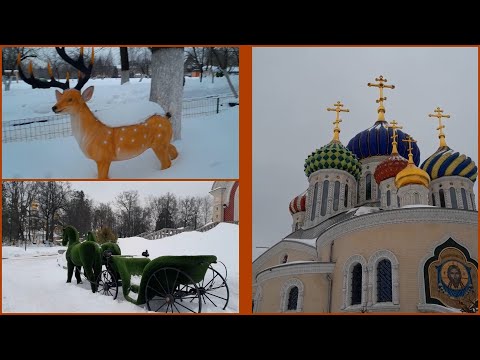 Здесь виноград даже