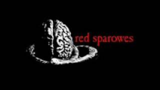 Red Sparowes  - The Fear Is Excruciating, But Therein Lies the Answer