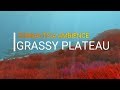 Subnautica Ambience: Grassy Plateau with Reefbacks
