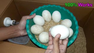 Easy Incubator For Hatching Duck Eggs || Homemade Duck Incubator