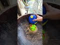 Amazing Marble Run ⭐ Fun marble run taught by pros