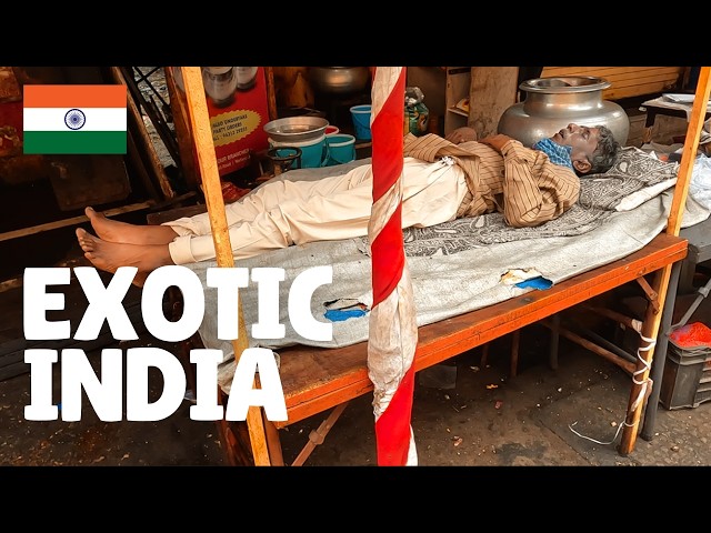 Travel vlog - the DIRTIEST Street in INDIA 🇮🇳