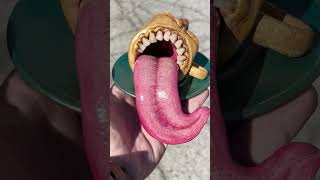 Sculpting On A Plane