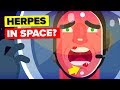 Why Are Astronauts Getting Herpes When Going to Space?