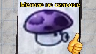 Виликое сражение (Хай Рай VS зомби) Plants VS zombies #3     Хай Рай