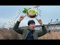 Comprehensible Japanese -Let's Study Japanese with Green Tea! / Japanese Listening Practice