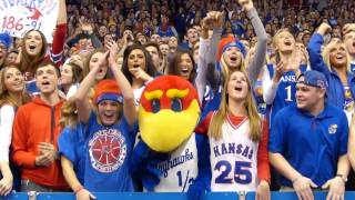 Welcome to The Phog