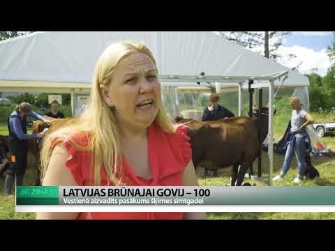 Video: Apkalpes uzņēmumi un to darbības iezīmes